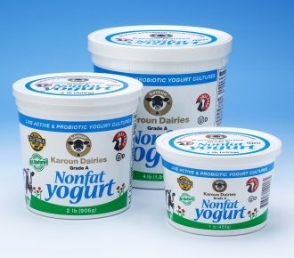 Karoun Non Fat Yogurt