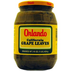 Orlando Grape Leaves